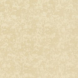 Обои Rasch Maximum XV 832334